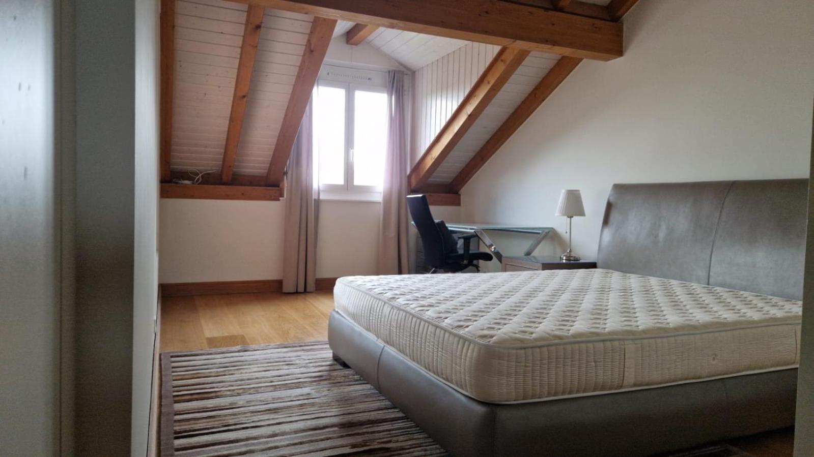 Penthouse In Cologny Switzerland Apartment Geneva Bagian luar foto