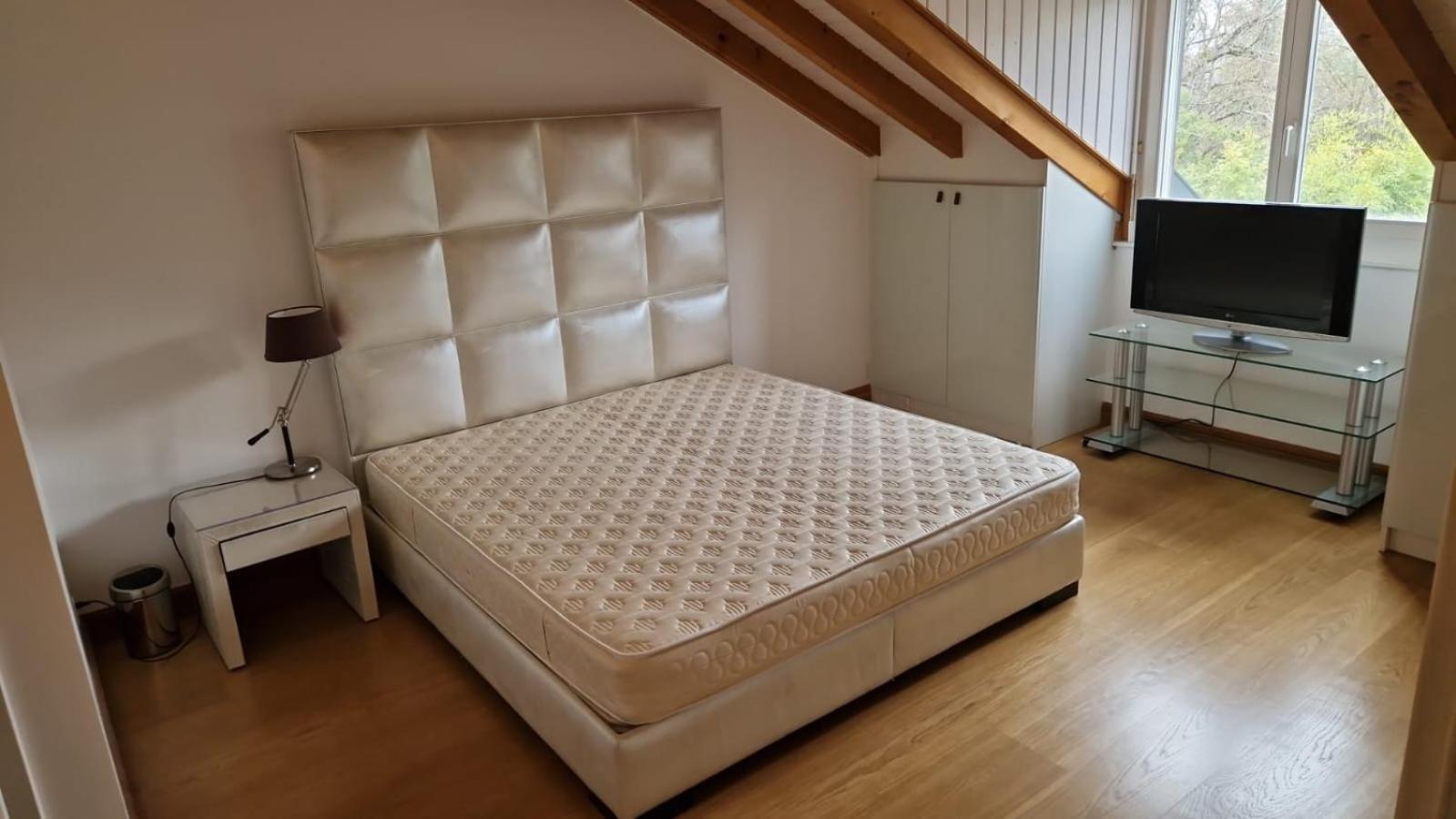Penthouse In Cologny Switzerland Apartment Geneva Bagian luar foto